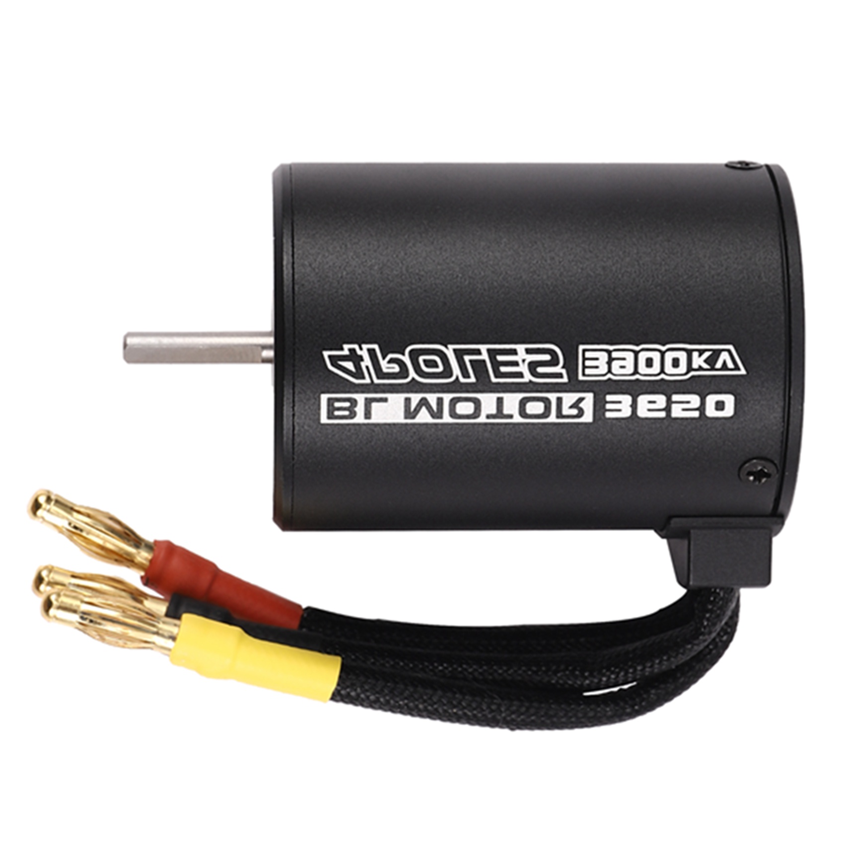 Motor Brushless SWXF 3650 3900 - Brushless Motor 3650 ulasan dan harga